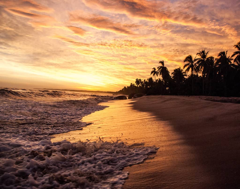 Palomino Sunset beach