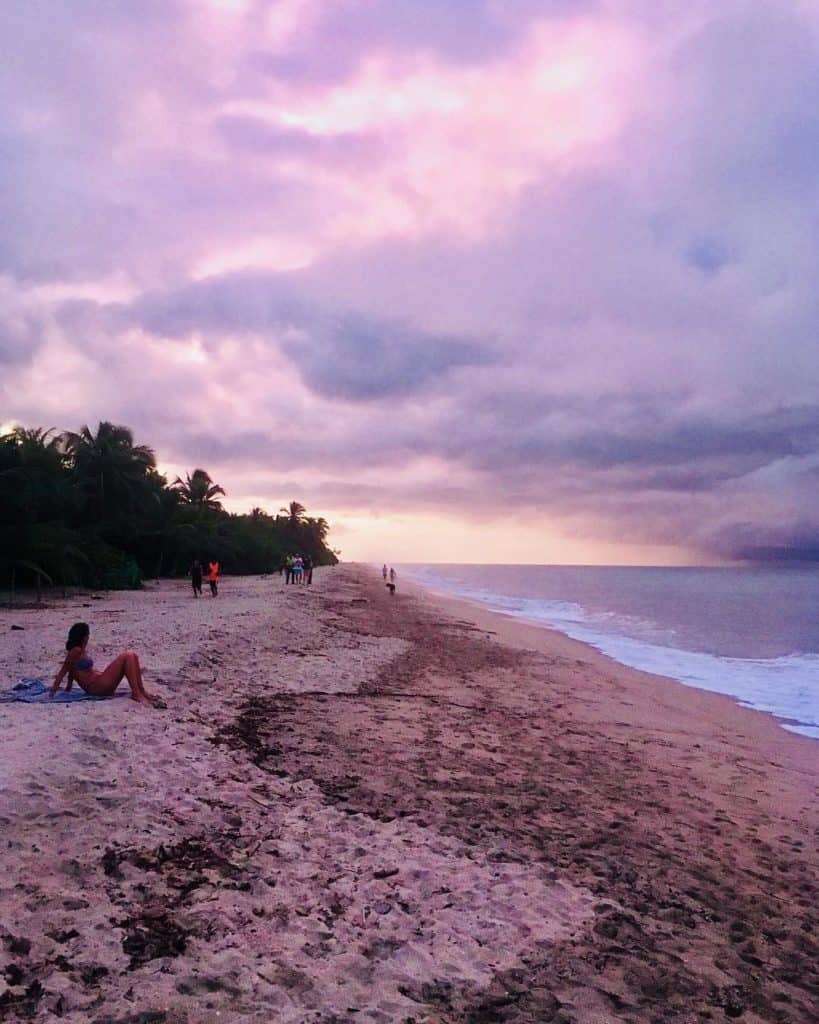 Palomino Sunset Colombia