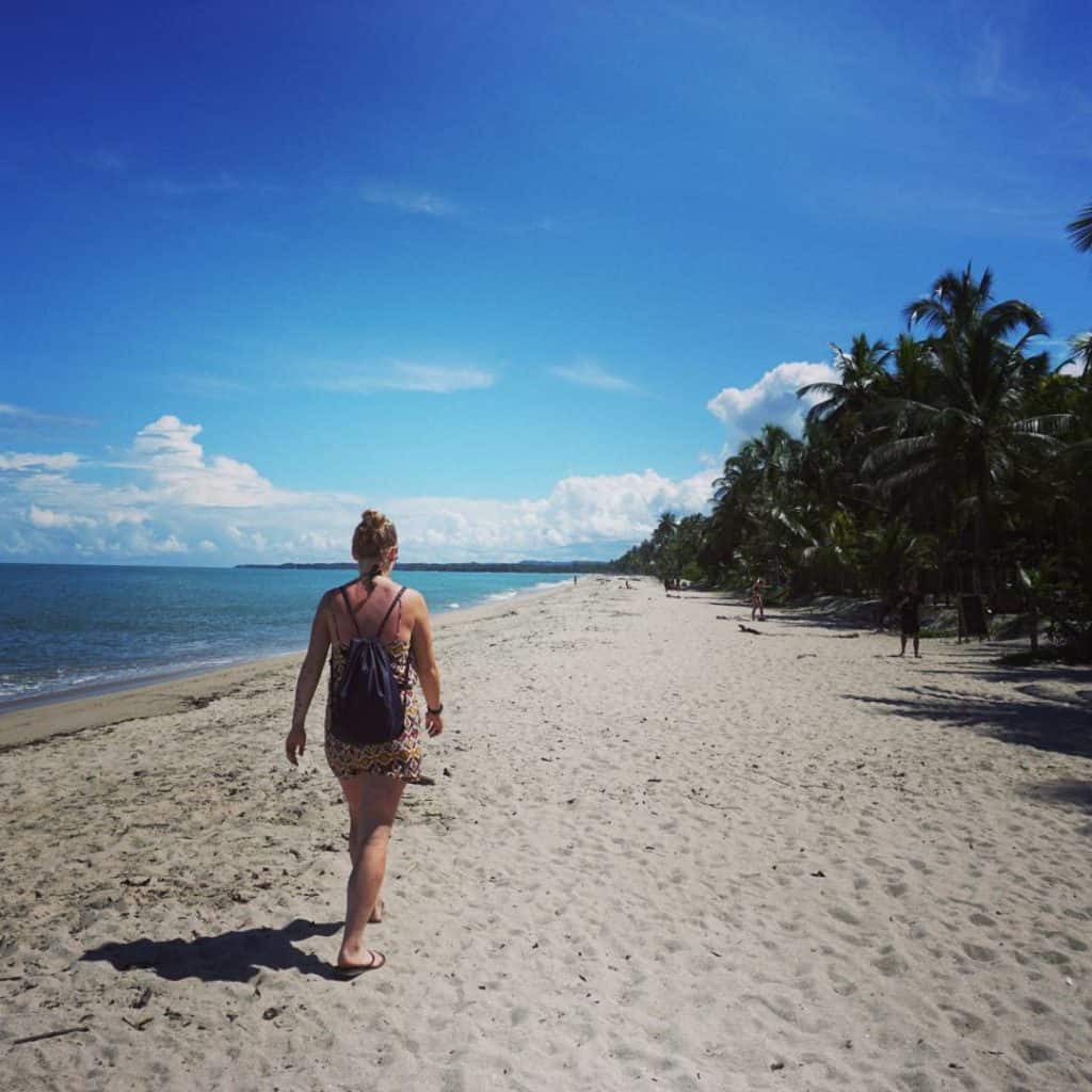 Beach Palomino