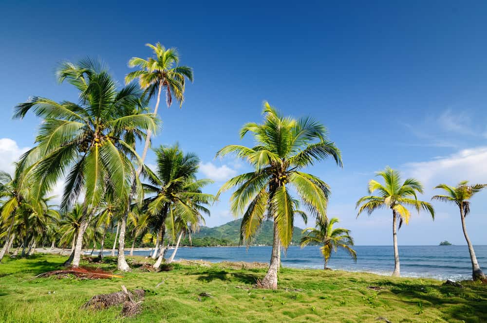 The beach in Aguacate near Capurgana