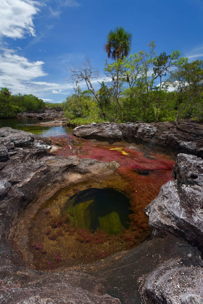 caño-cristales-meta-sierra-macarena-llanos-colombia