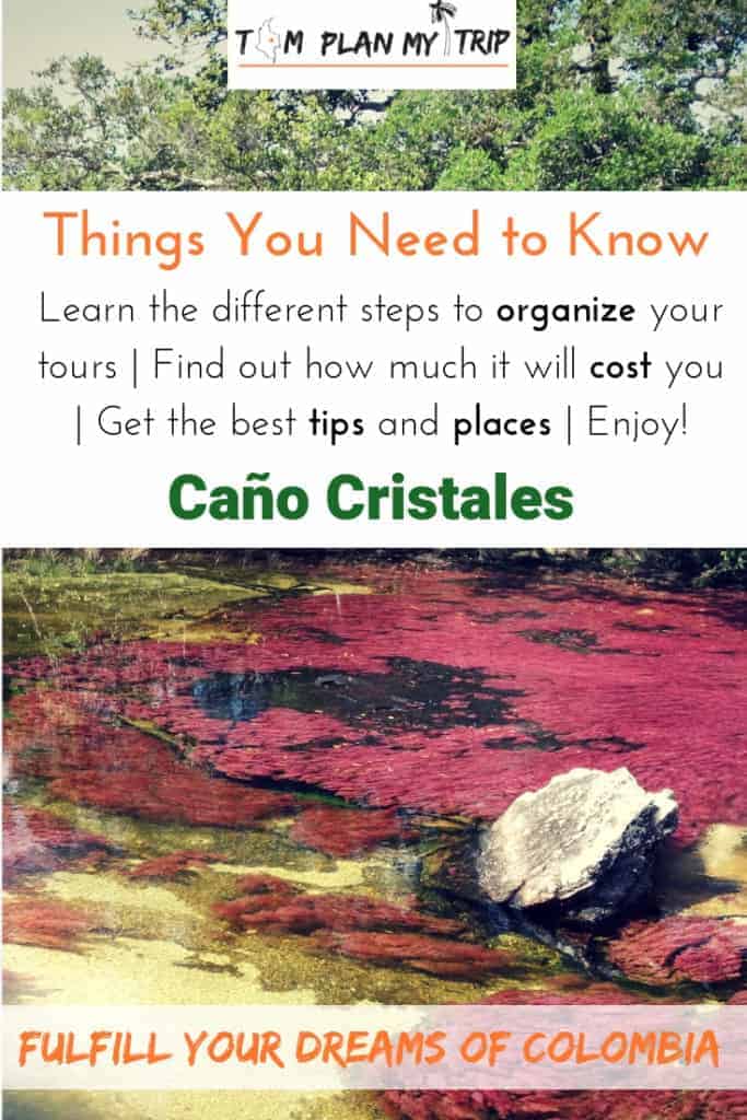 Travel-to-Caño-Cristales