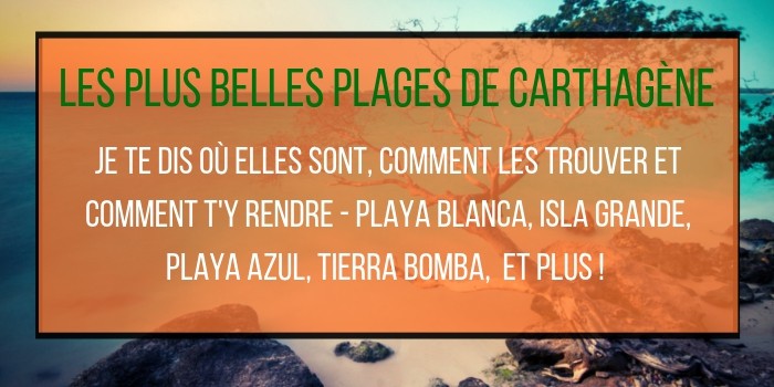Plages De Carthagène Quelles Sont Vos Meilleures Options