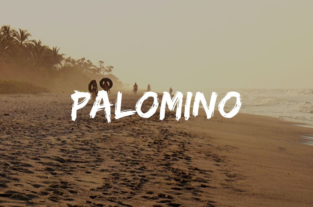Palomino sur la cote caraibe colombienne