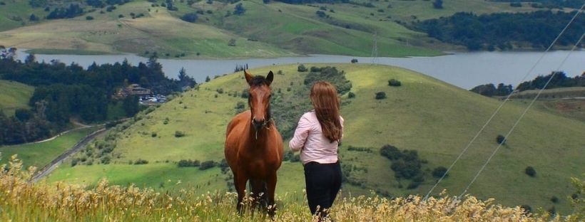 Horseback riding tour Bogota