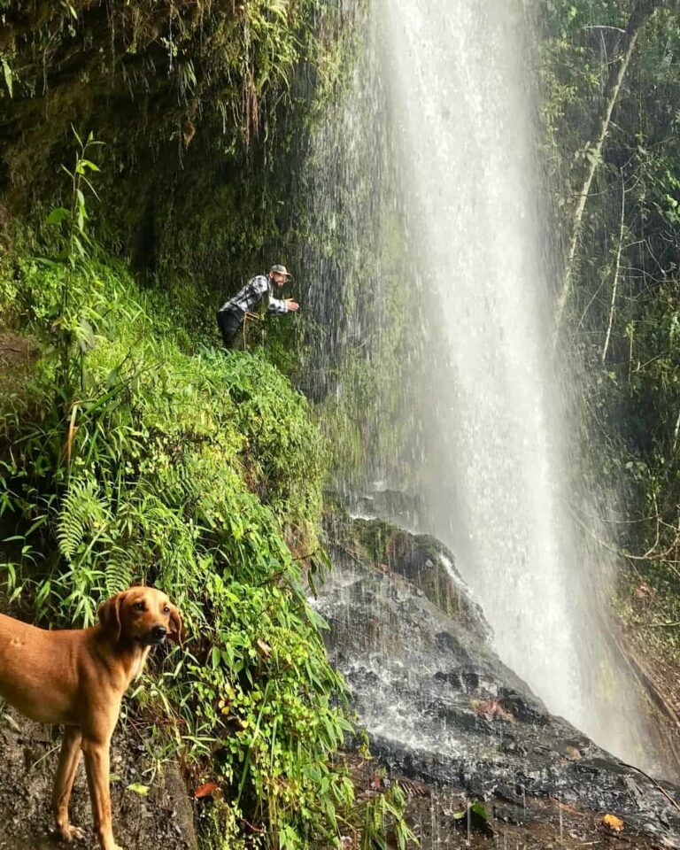 26 Best Things to Do in Jardín, Antioquia Find the Perfect Tours