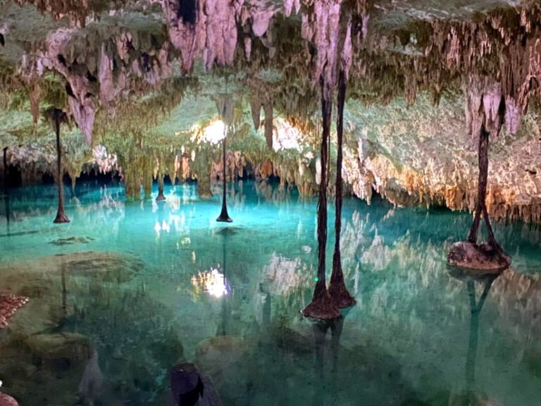 30+ Best Cenotes, Cancun Pro Guide To Plan Your Trip [2024]