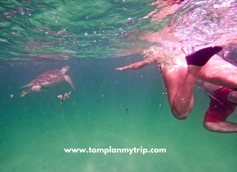 Tulum Beach What to REALLY Expect for 2024