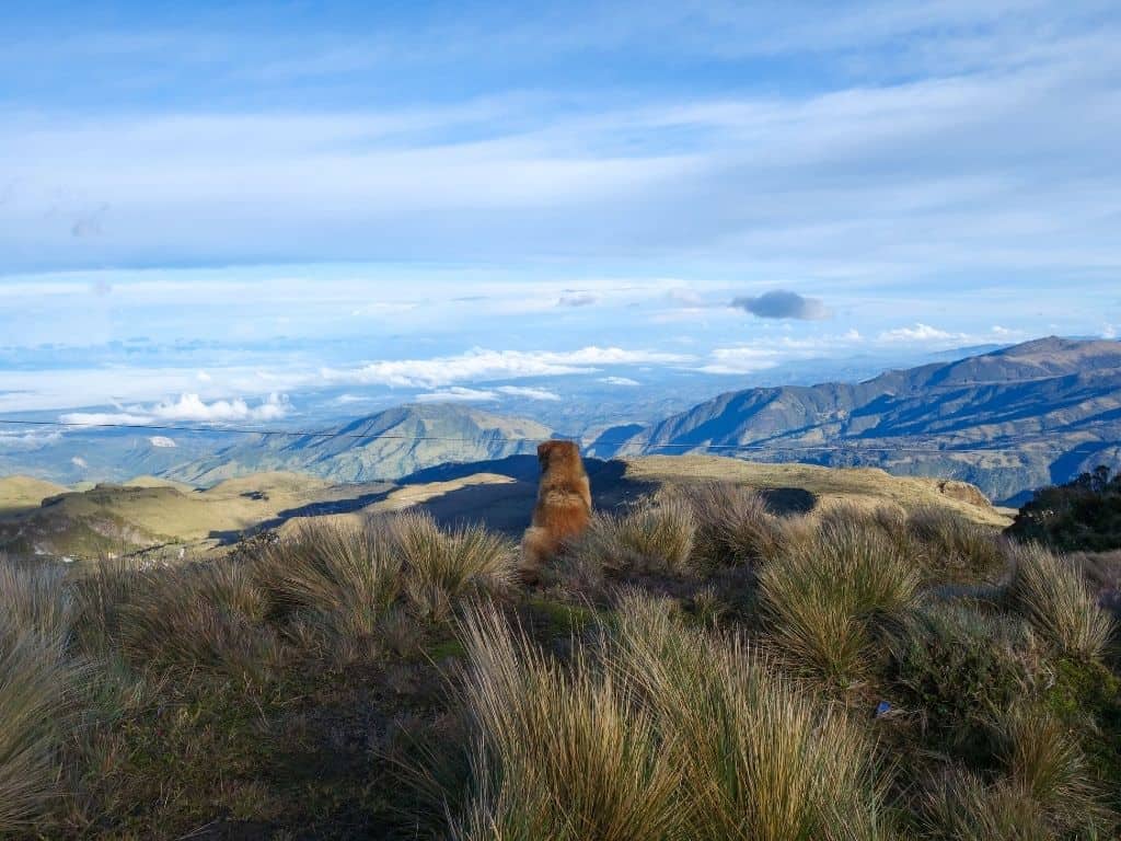 Cali and around - Purace National Park - landscape on the way down from the volcano