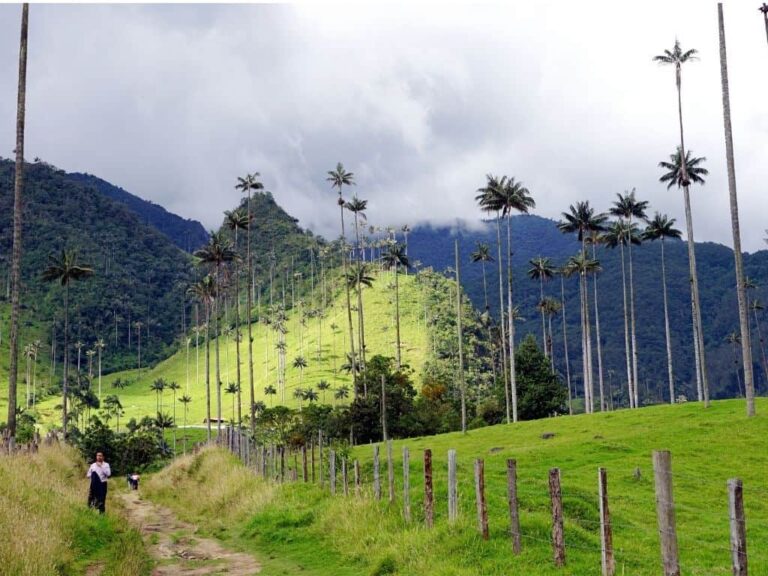 Discover Colombia's Coffee Region: Expert Travel Guide | TPMT