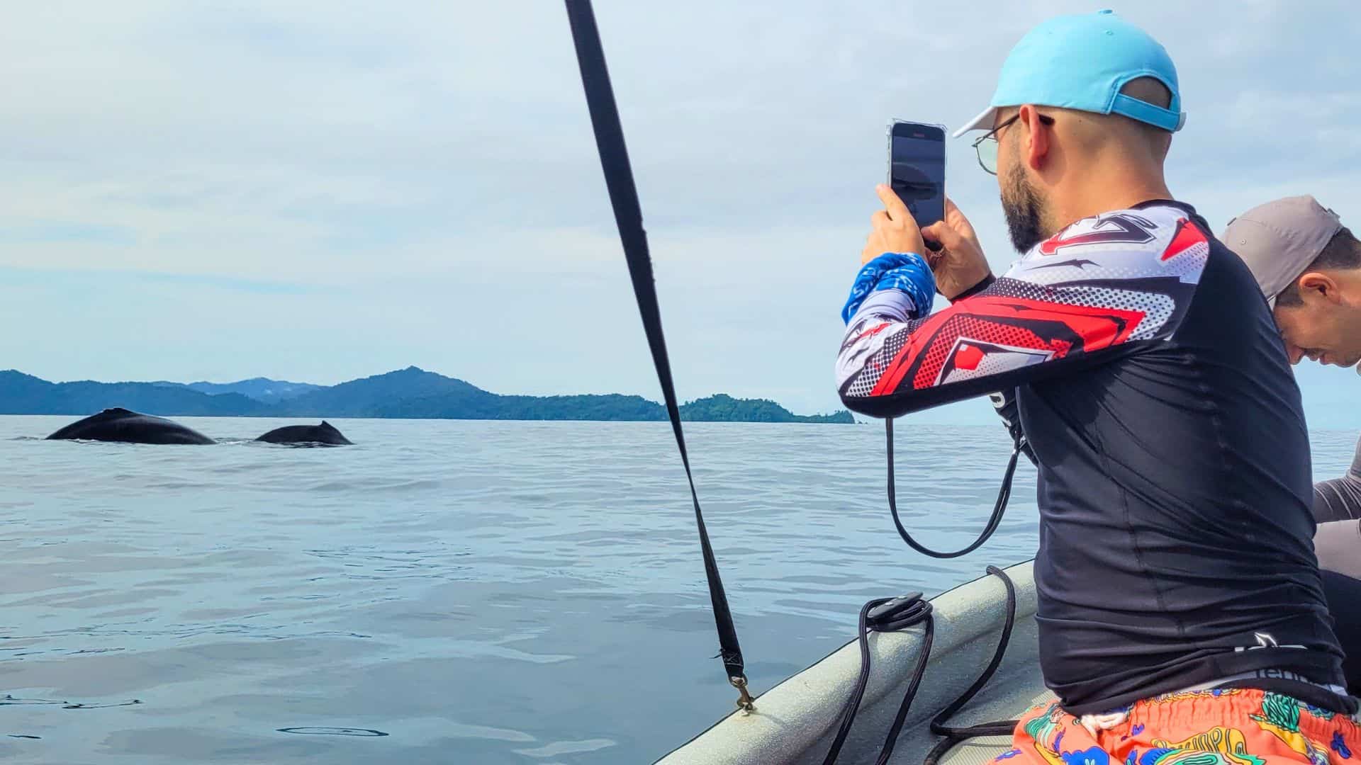 whales in El Valle Pacific Coast Colombia - Large animals