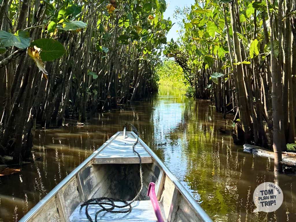 Boat Amazon Swamps From leticia
