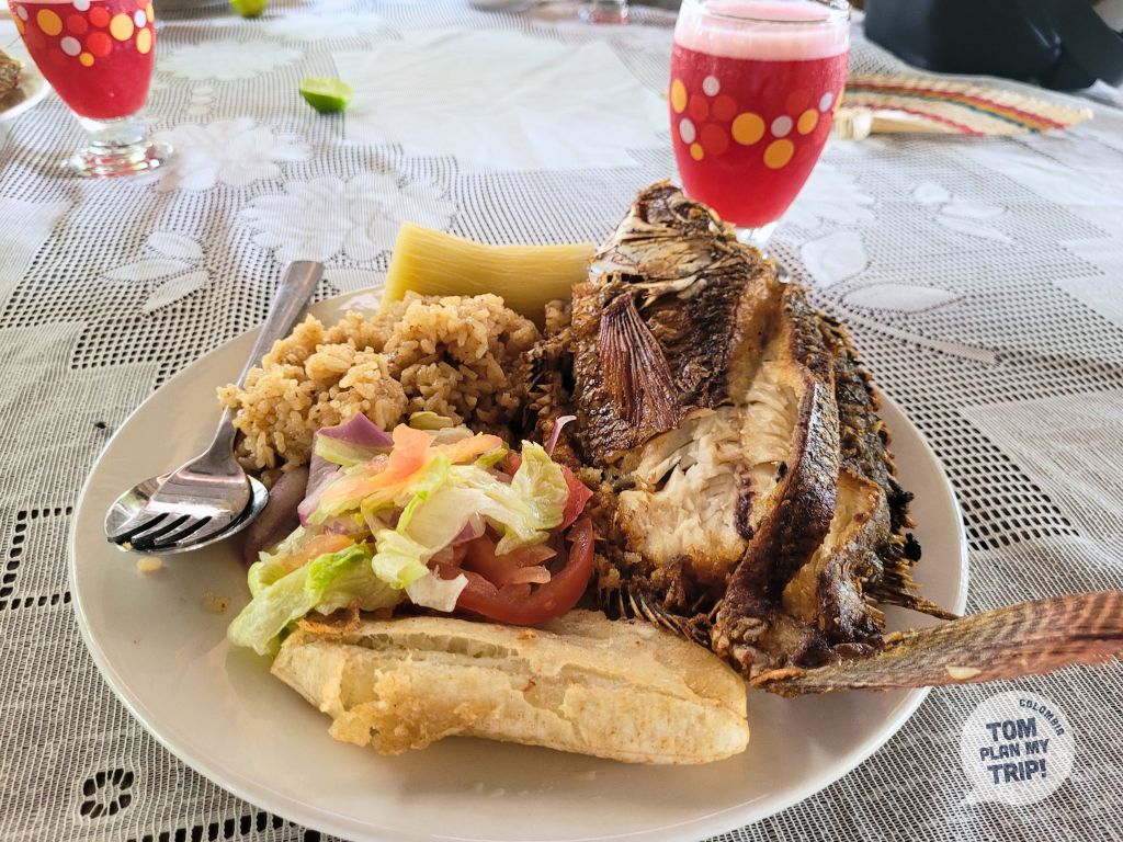 Farm fish food in Santa Cruz de Mompox - East Caribbean Coast Colombia