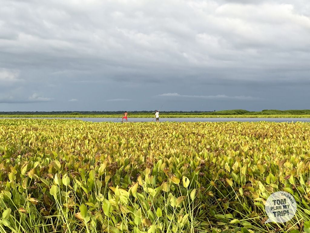 Magdalena river - Santa Cruz de Mompox - East Caribbean Coast