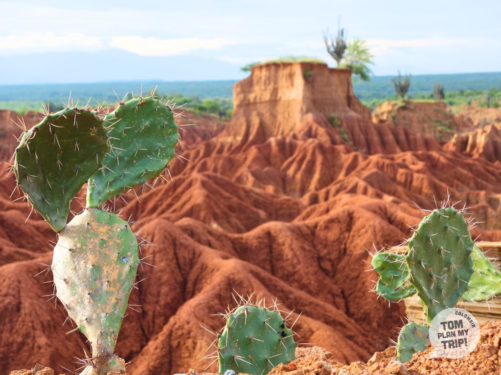 Tatacoa Desert Colombia