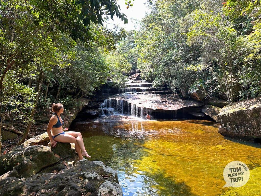 Yarumales - Siete Macho Meta - Los Llanos Orientales Colombia (1)