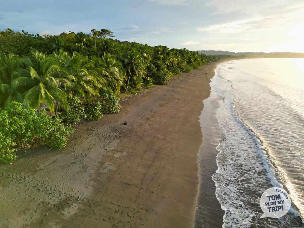 Ecolodge Termales Pacific Coast Colombia (4)