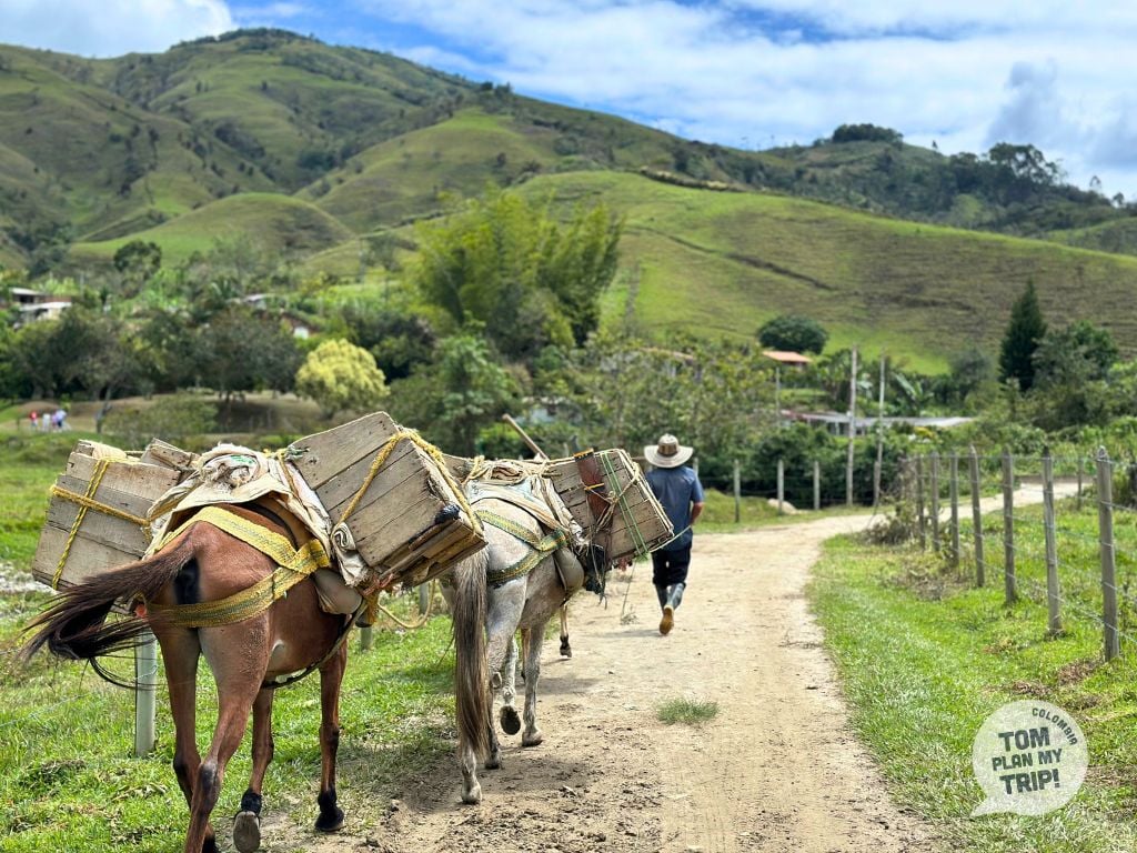 Camino Matasano Concepcion Antioquia Colombia