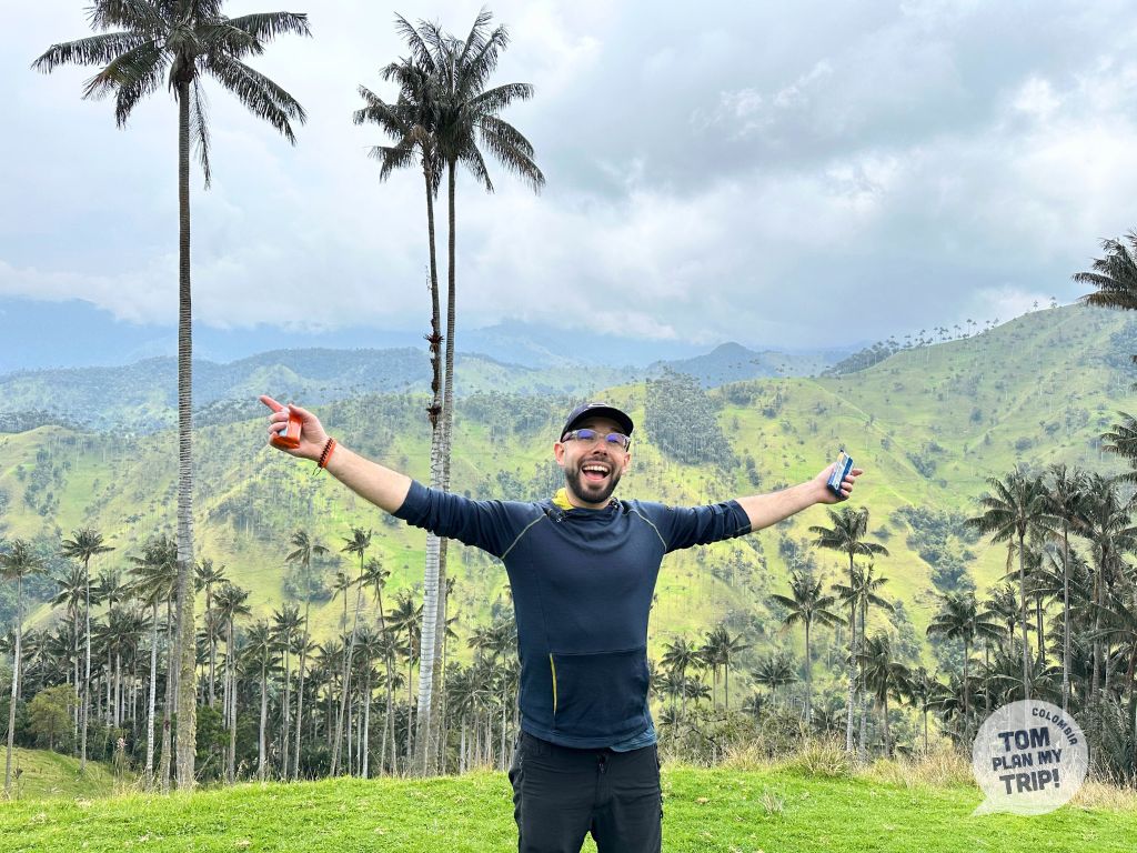 Carbonera Wax Palm tree Zona Cafetera Colombia - Tom