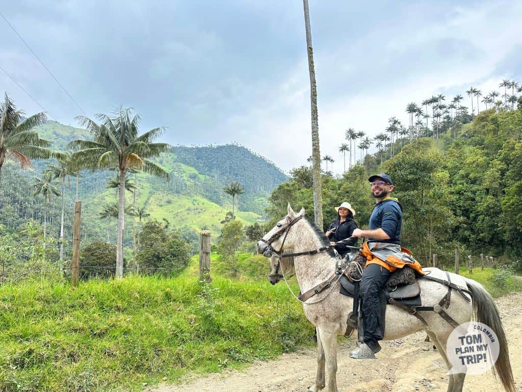 Horse Riding Carbonera Zona Cafetera Colombia - tom