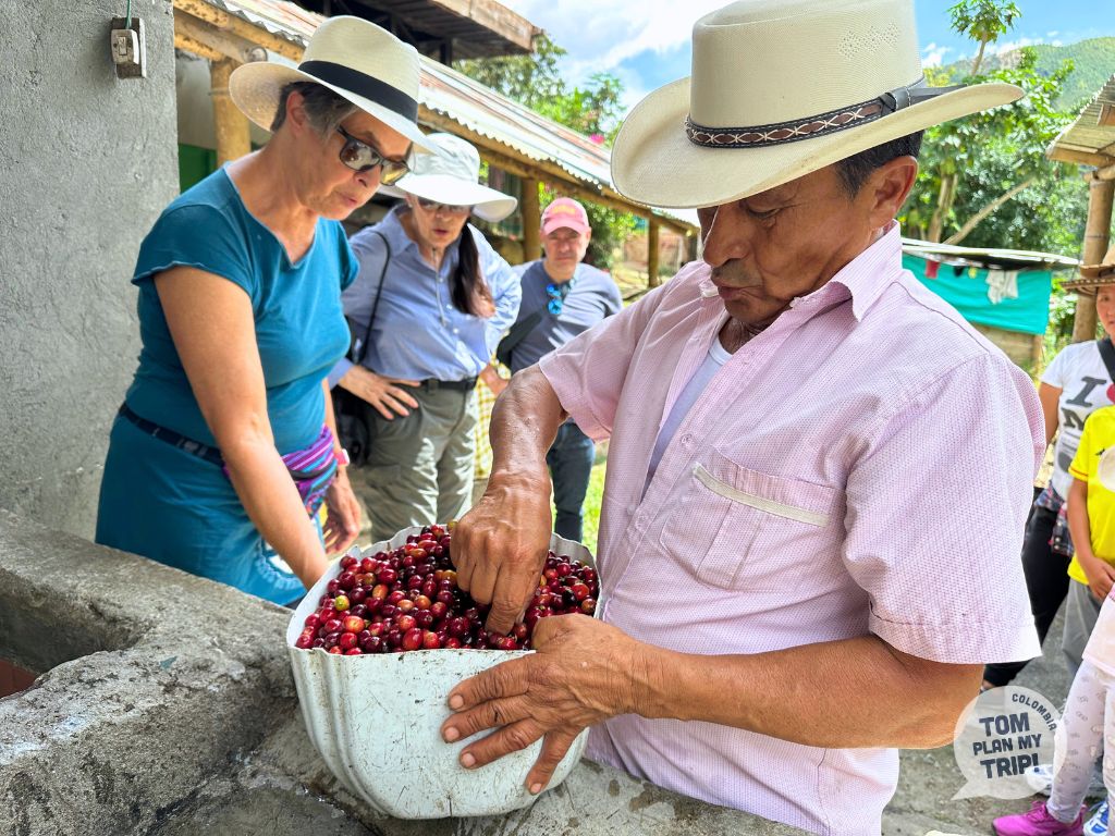 Pijao Coffee Tour zona cafetera Colombia