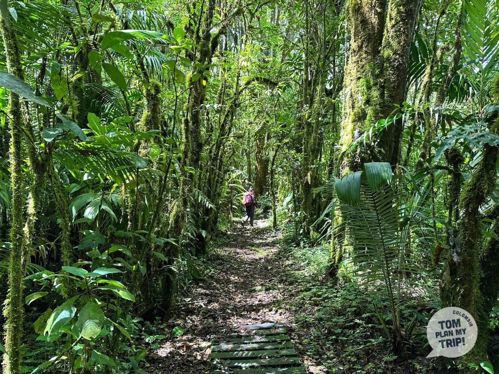 SFF Otun Quimbaya Trail 2 - Pereira Zona Cafetera (1) (1)