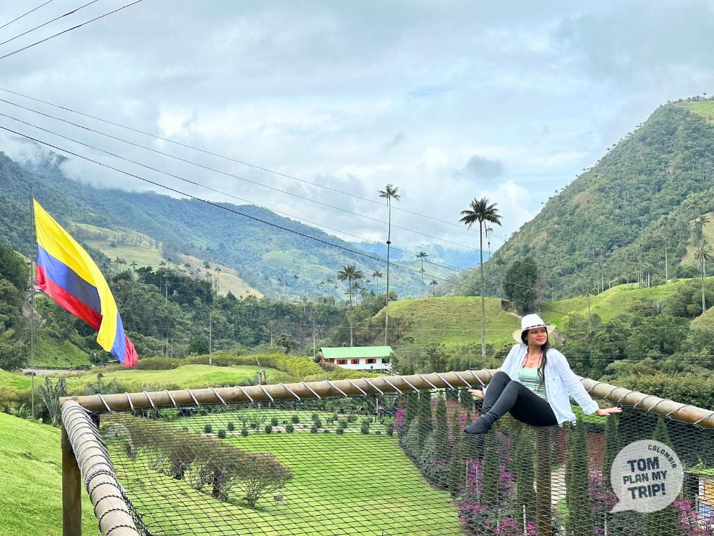 Viewpoint 1 - Cocora Valley Salento Wax Palm Tree Zona Cafetera Colombia