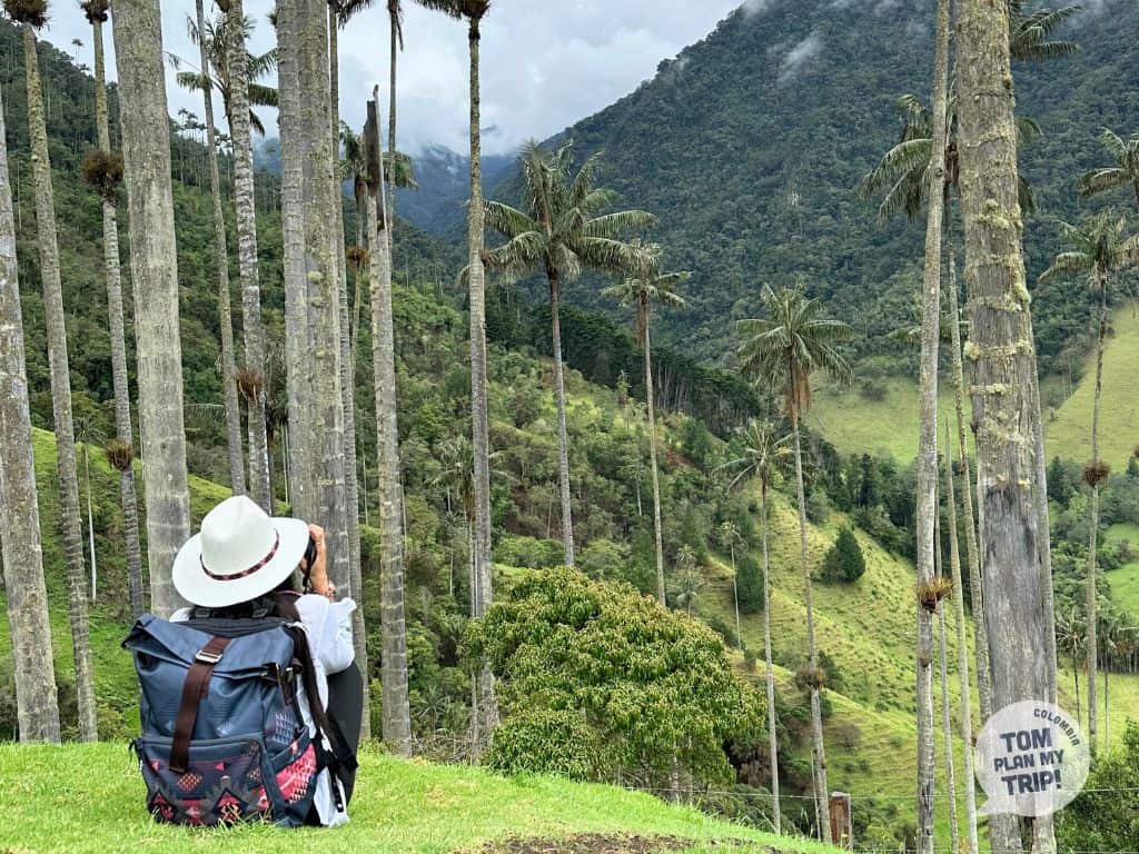 Viewpoint 2 - Cocora Valley Salento Wax Palm Tree Zona Cafetera Colombia