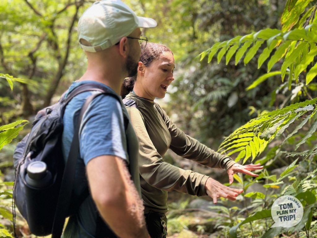 Bizcocho San Rafael Antioquia Colombia -
