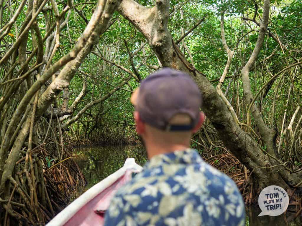 La Boquilla - Cartagena Eastern Caribbean Coast Colombia - Mangroves Tom (1) (1)