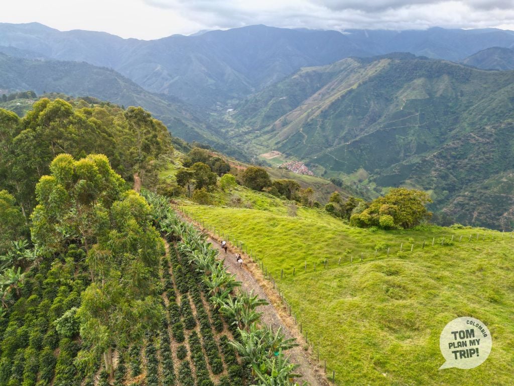 horseback riding Finca el Diamante - Salgar