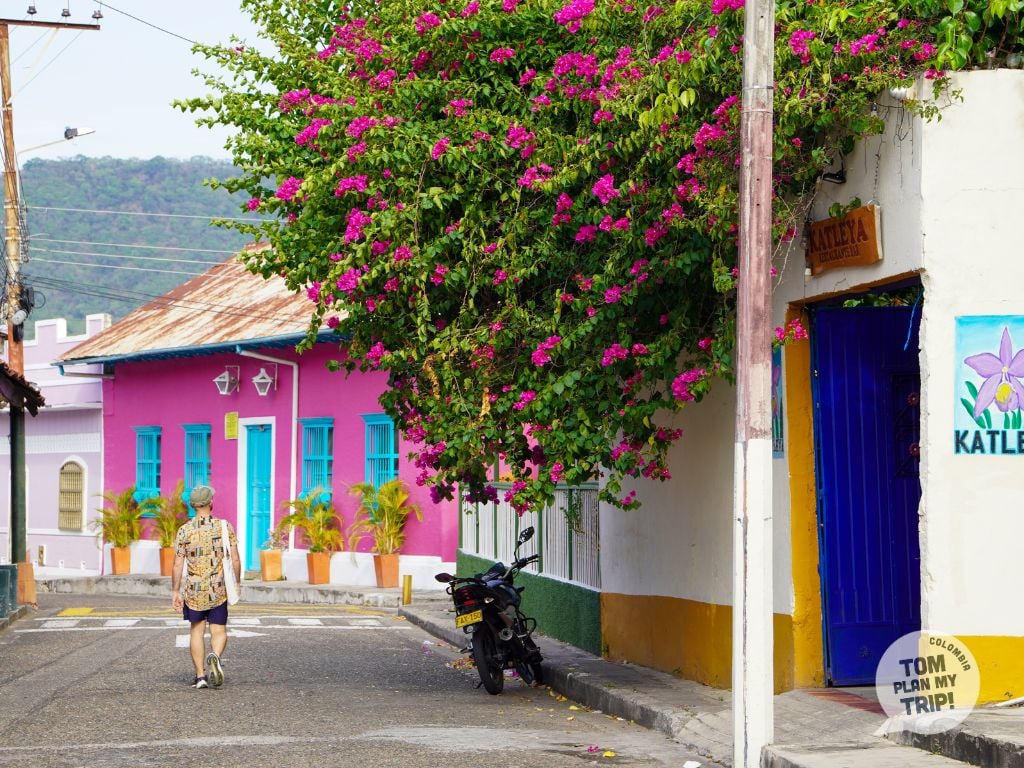 Honda Tolima - Town