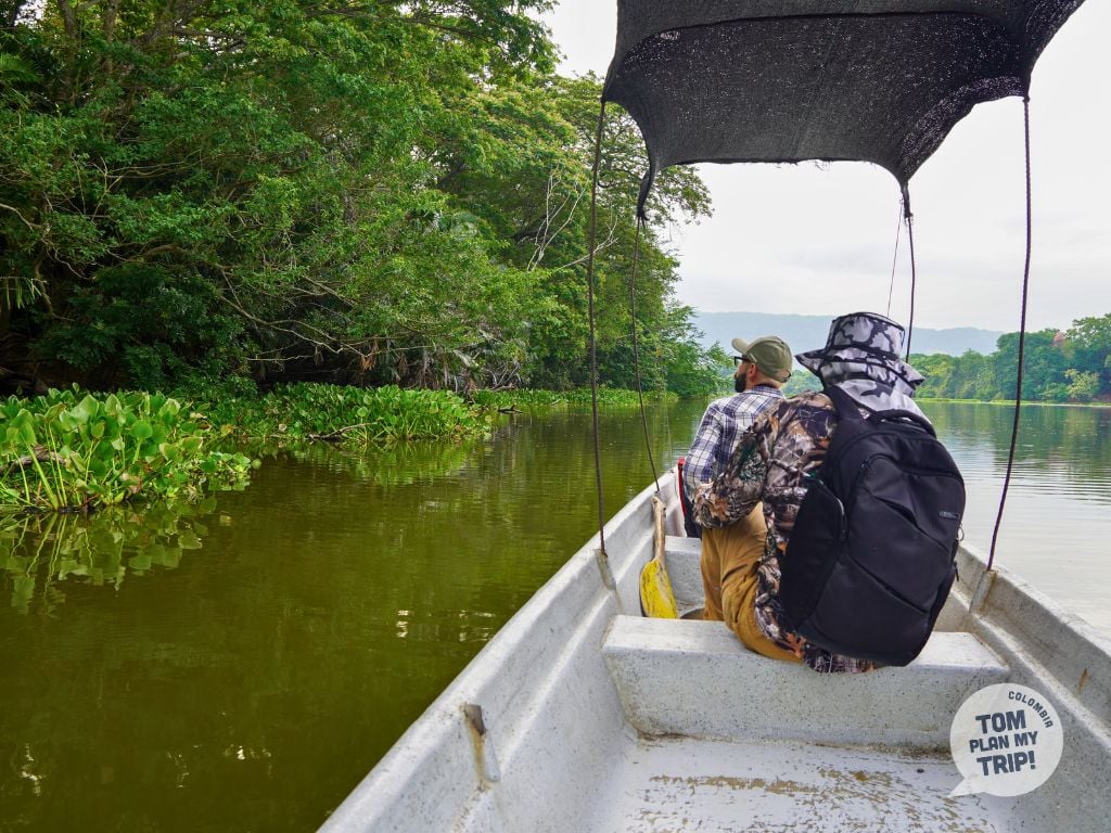 Honda Tolima - Lagoon Tour - Birds